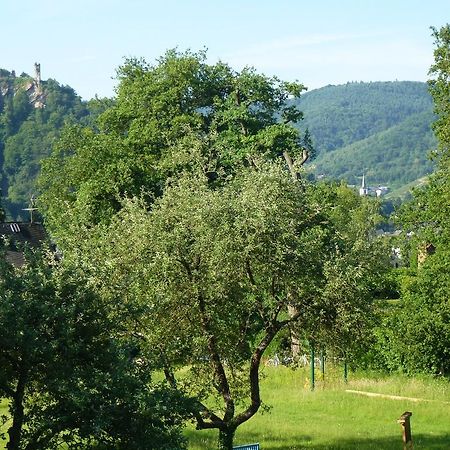 Feriendomizil Im Plantert Διαμέρισμα Traben-Trarbach Εξωτερικό φωτογραφία